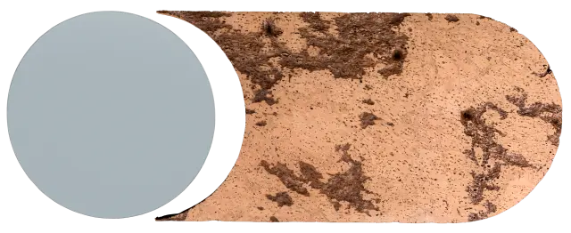 Halley 4
