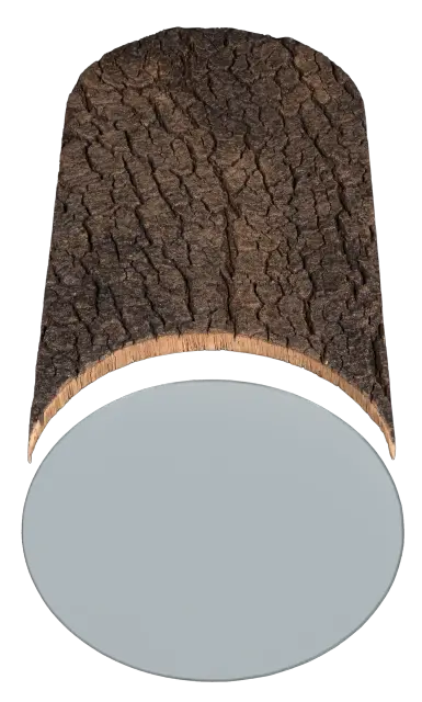 Halley 3