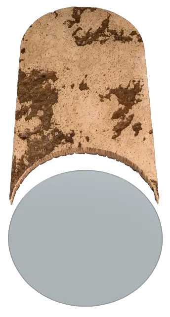 Halley 5
