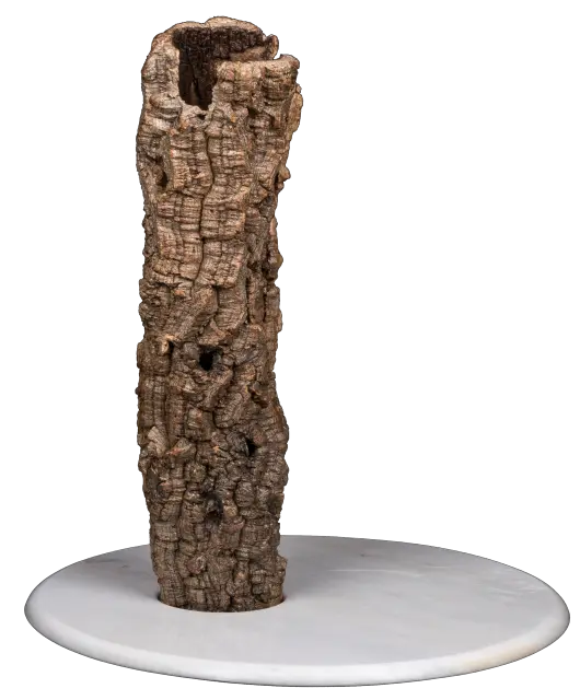 Óscar 5