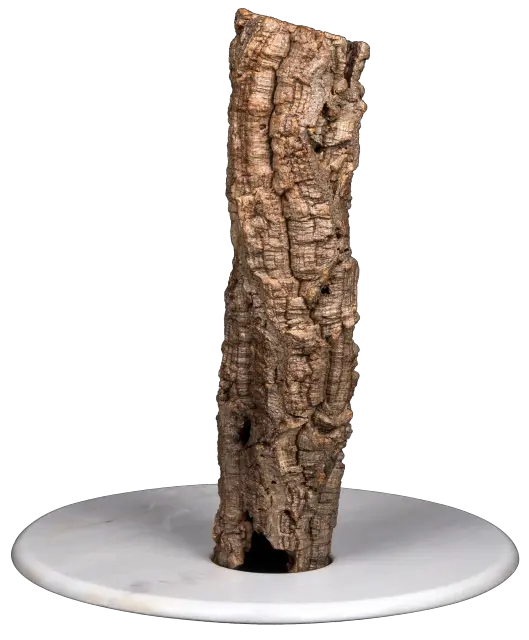 Óscar 3