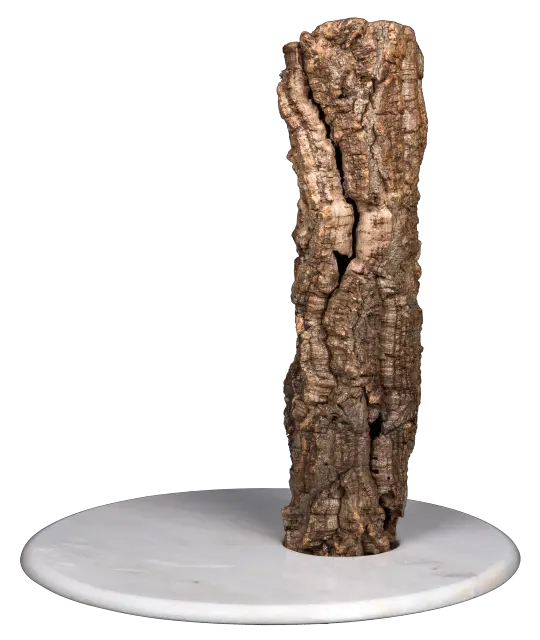 Óscar 4