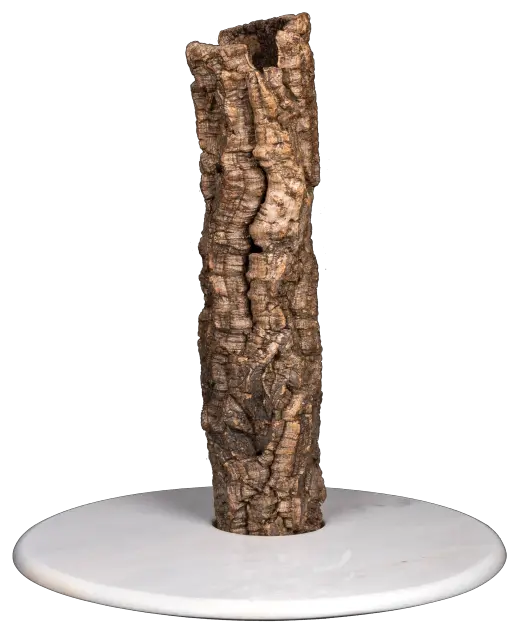 Óscar 2
