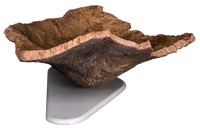 Shell 2
