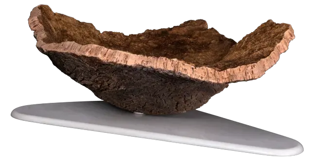 Shell 7