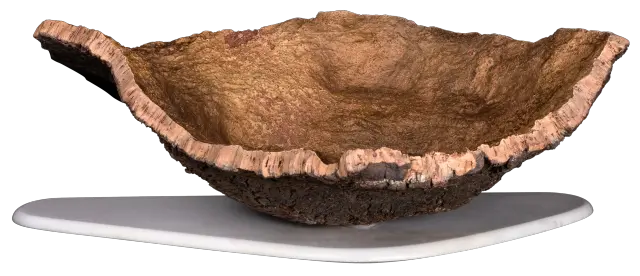 Shell 4