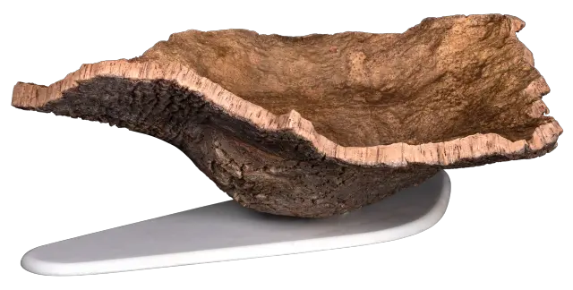 Shell 3
