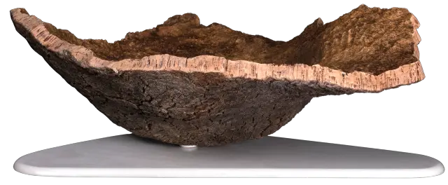 Shell 6