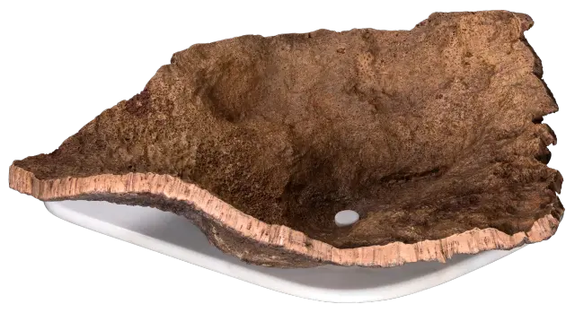 Shell 5